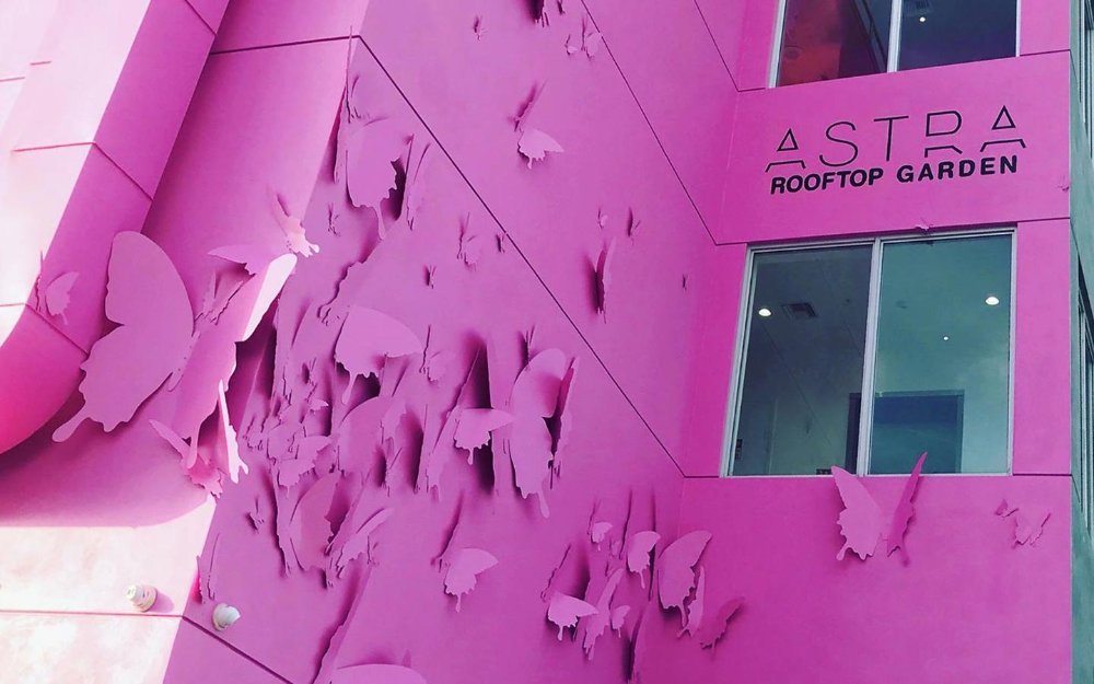 Pink exterior with butterfly detail on Astra Rooftop Restaurant and Lounge