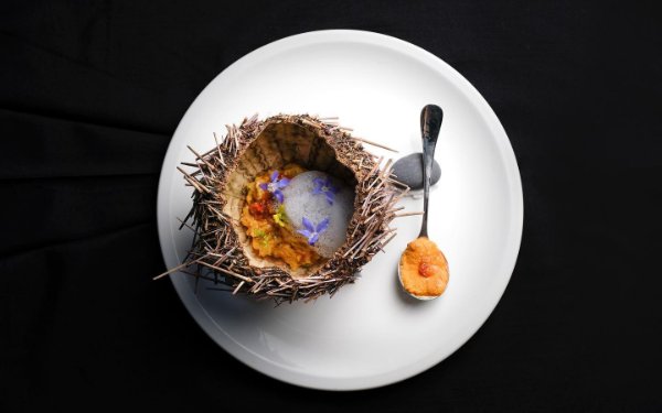 Boudin blanc d'Ariete, pistache, pied braisé, jus de calabaza, bigaradier, estragon