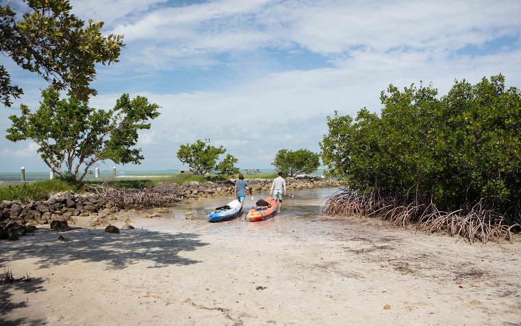 Amici che si preparano ad andare in kayak nelle acque serene di Biscayne National Park , circondato da una vegetazione lussureggiante e da un cielo azzurro e limpido