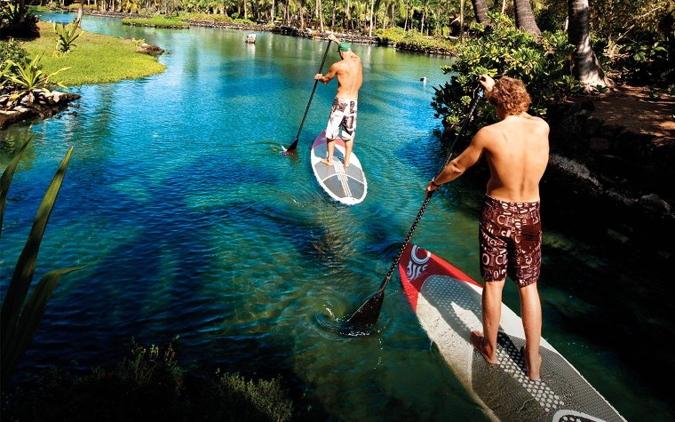 Paddle boarders gliding across waters of Matheson Hammock Park