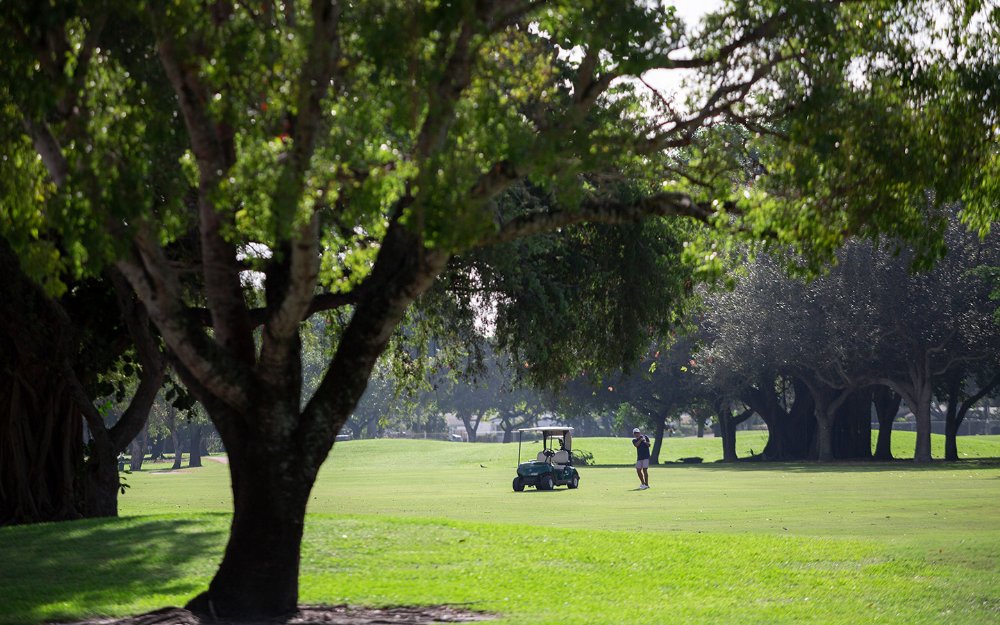 Greynolds Park golf course