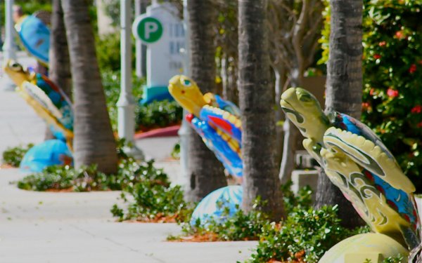 IL Surfside Turtle Walk inizia al Surfside Community Center e comprende 13 sculture di tartarughe colorate