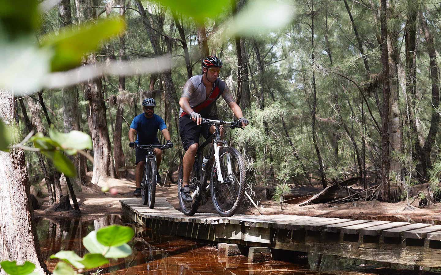 Outdoor-Aktivitäten in Miami - Oleta Park Mountain Bike 1440x900