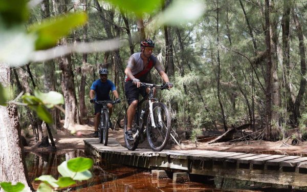 Мужчины едут на велосипеде по живописной тропе в Oleta River State Park