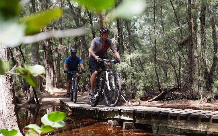 Mountain bike trail at Oleta River State Park Mountain bike trail at Oleta River State Park