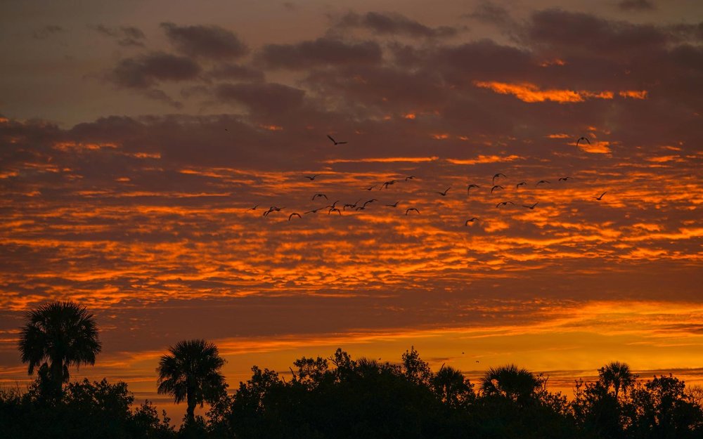 Coucher de soleil sur la réserve nationale de Big Cypress