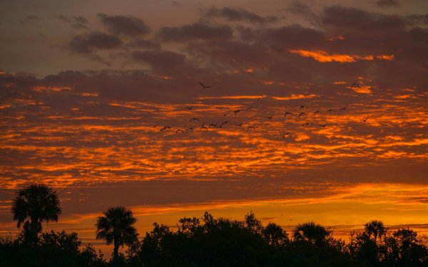 Puesta de sol sobre la Reserva Nacional Big Cypress