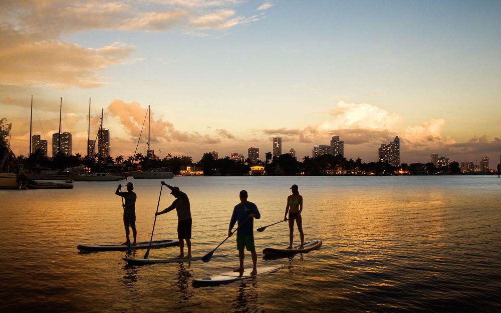 Paddleboarders at dusk