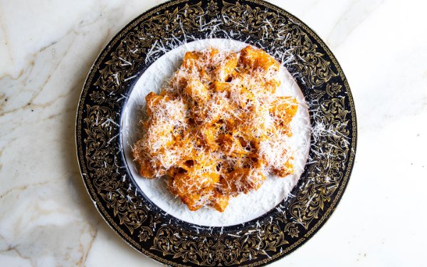 Prato picante de rigatoni do Jaguar Sun, com macarrão al dente coberto com um rico e picante molho de tomate, decorado com Fresh ervas e queijo ralado