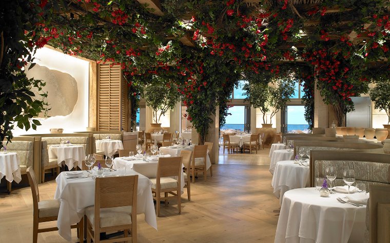 Dining area at Avra with lush tropical greenery overhead Dining area at Avra with lush tropical greenery overhead