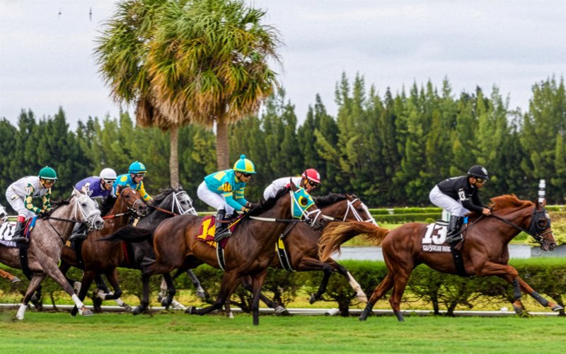 Horses racing at Pegasus World Cup