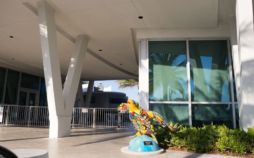 Sculpture colorée de tortue à côté de l'entrée du Surfside Community Center