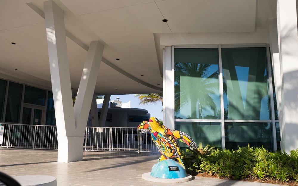 Colorful turtle sculpture next to the entrance of the Surfside Community Center