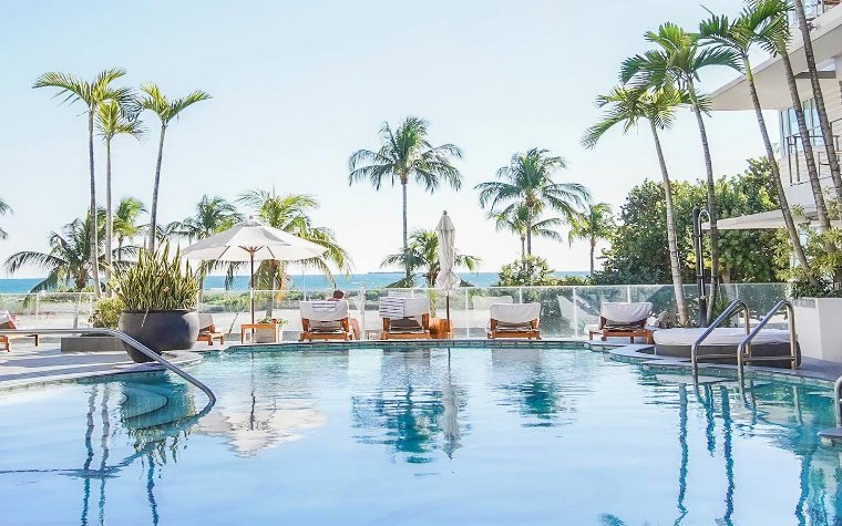 Hotel Victor South Beach pool with lounge chairs, umbrellas, and palm trees overlooking the ocean