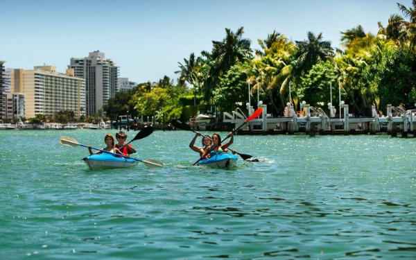 Group kayaking in Miami's waters
