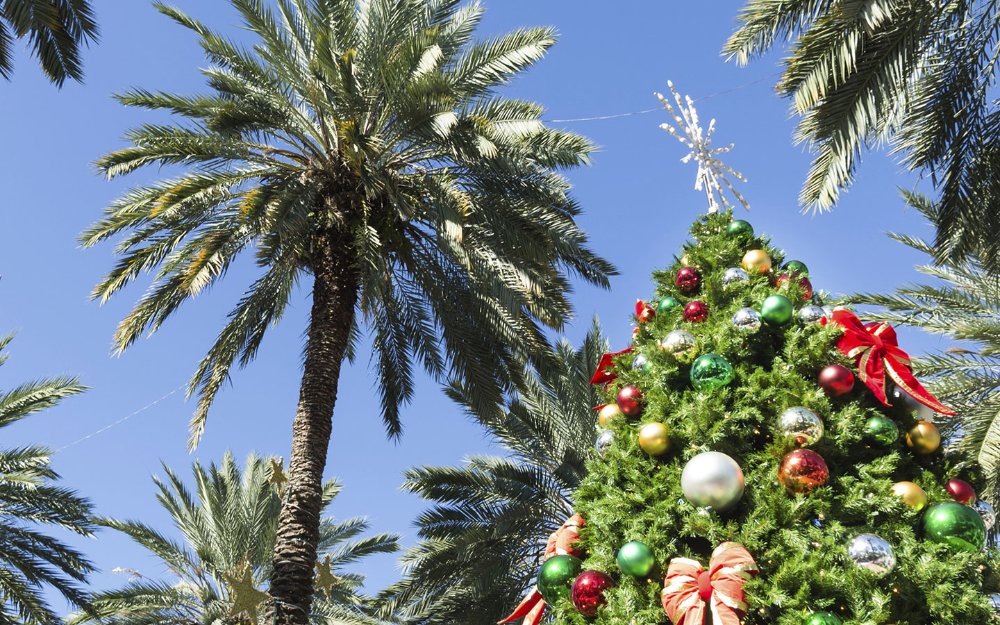 Árbol de Navidad festivo junto a palmeras.
