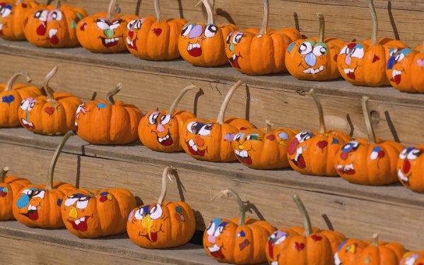 Jwèt Cute Jack-O-Lanterns