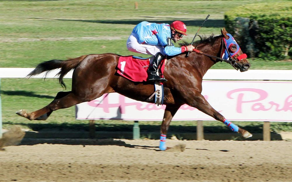 Jockey racing on a horse