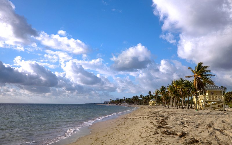 Crandon Park Beach Litorale e palme