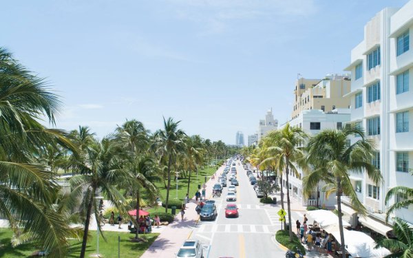 Machin ak pye palmis sou Ocean Drive