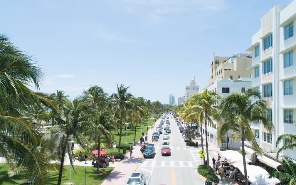 Coches y palmeras en Ocean Drive