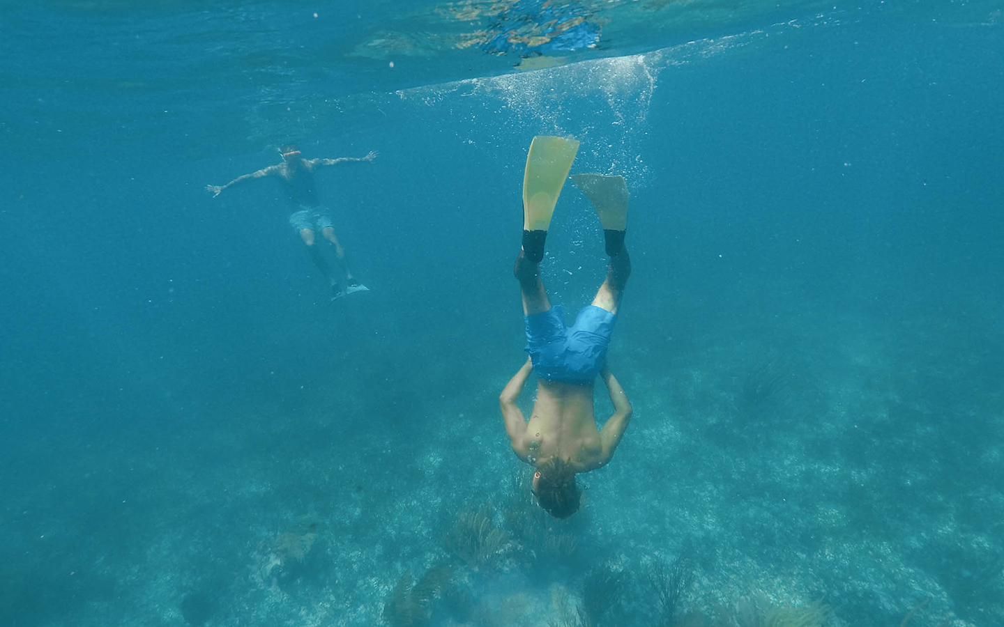 Free diver exploring underwater
