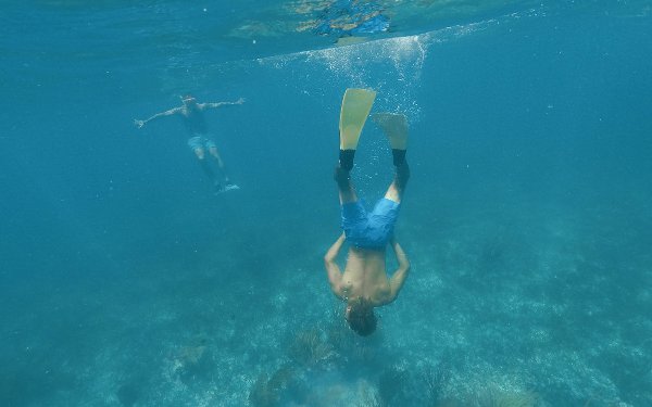 Snorkeler enjoying the underwater view in the ocean