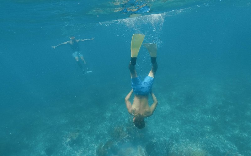 Snorkeler enjoying the underwater view in the ocean