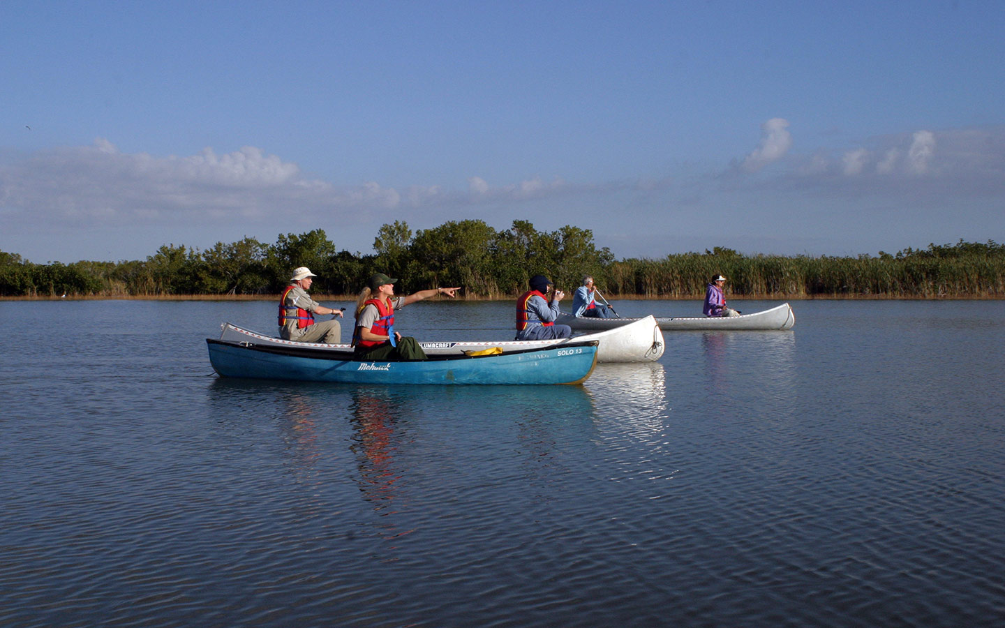 A guided kayak tour through the Everglades