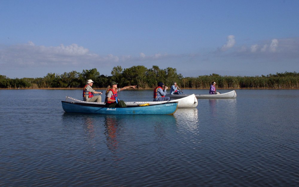 A guided kayak tour through the Everglades