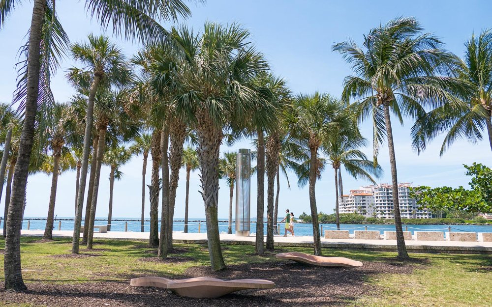 Forro de palmeras South Beach 's Beach Caminar