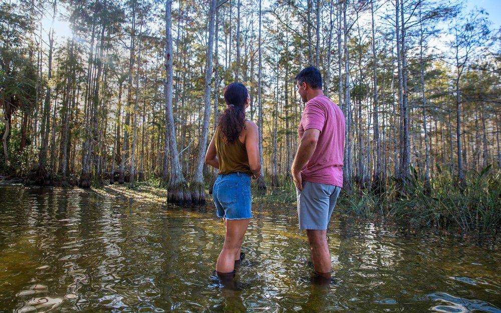 Casal caminhando pelo pântano em Big Cypress