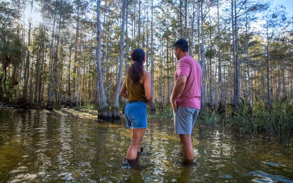 Pareja en caminata sobre el agua en Big Cypress desde atrás