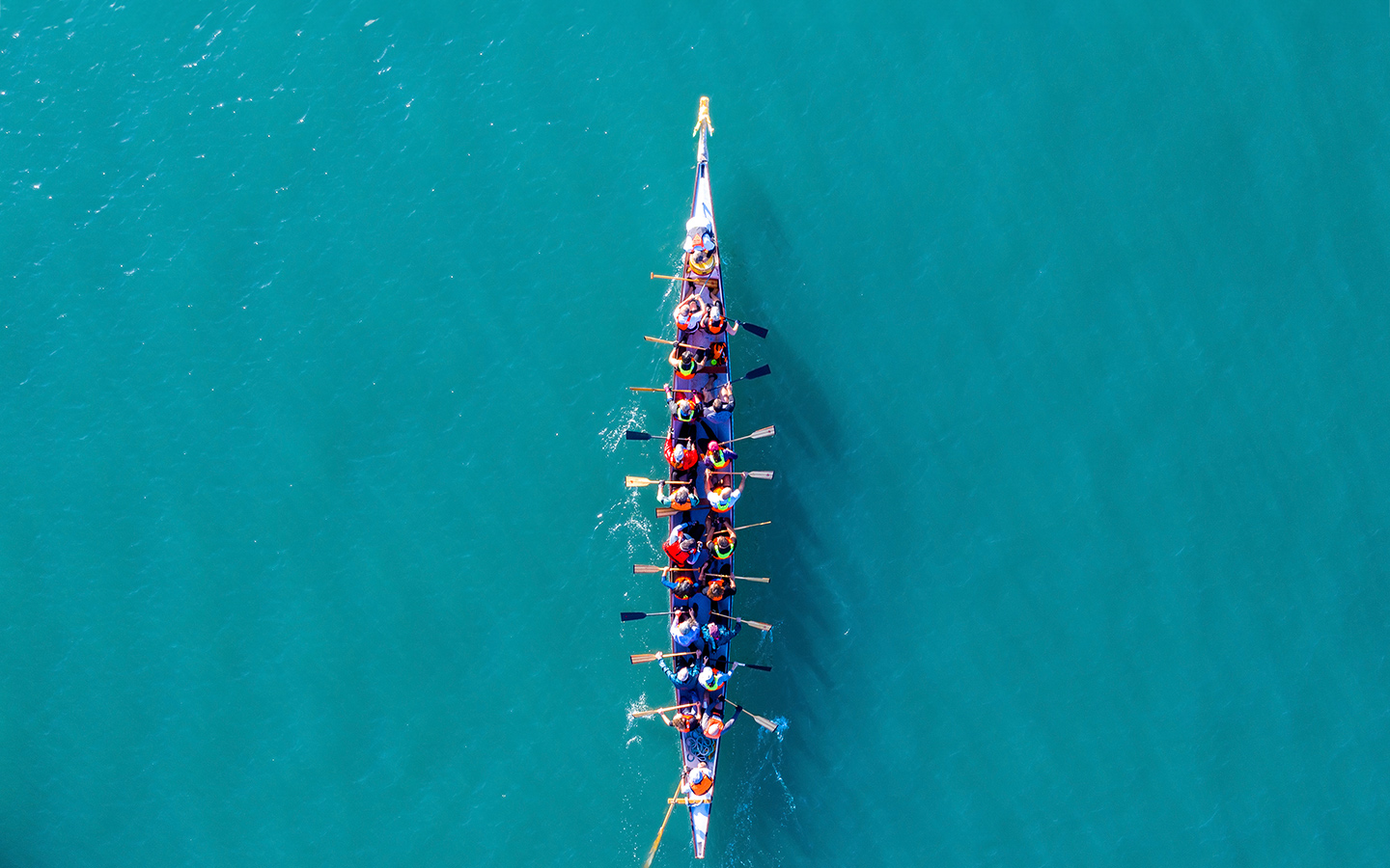 Aerial view of the dragonboat