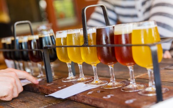 Beer flight at Titanic Brewing Company
