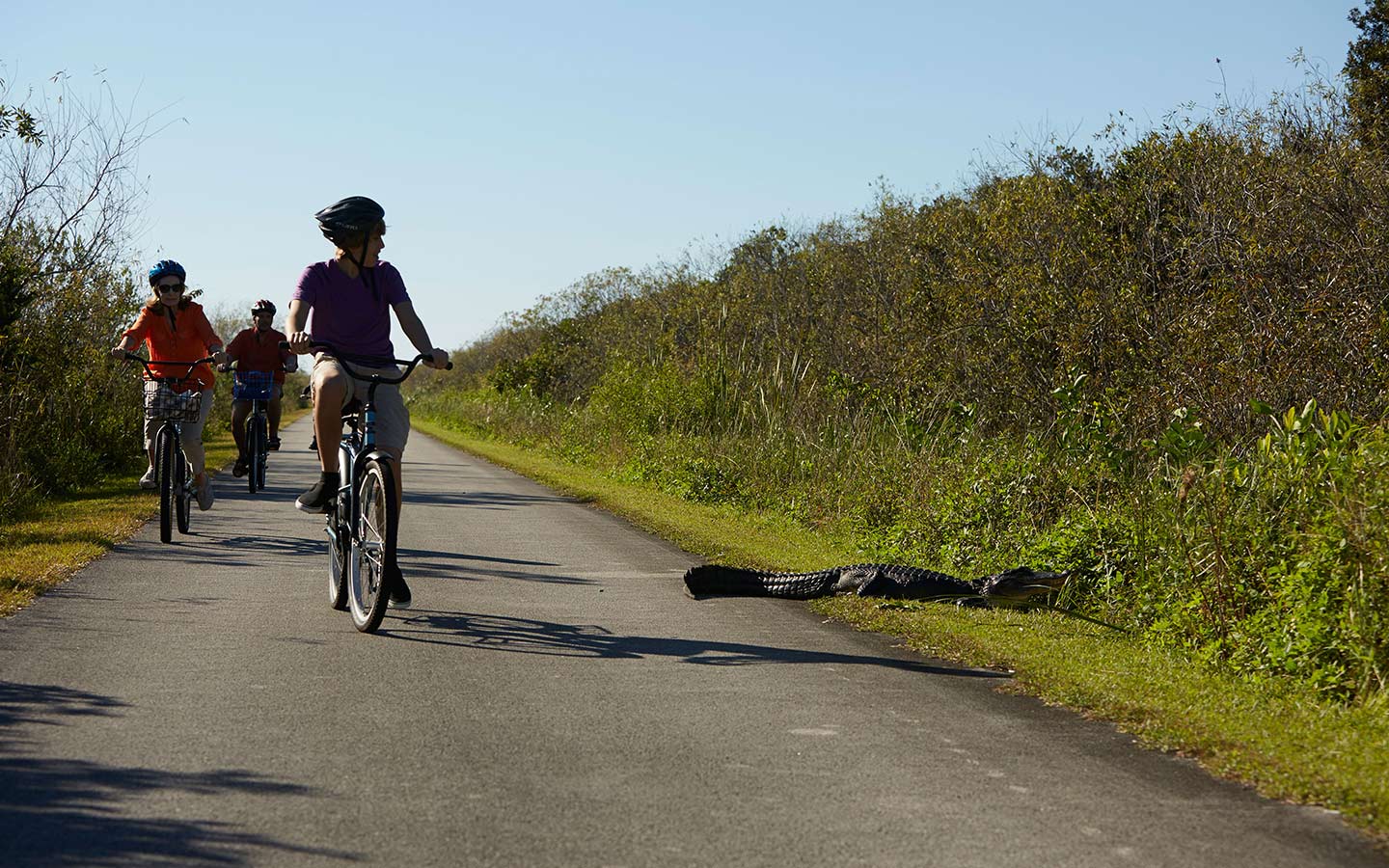 Práctica en bicicleta para ciclistas adultos principiantes