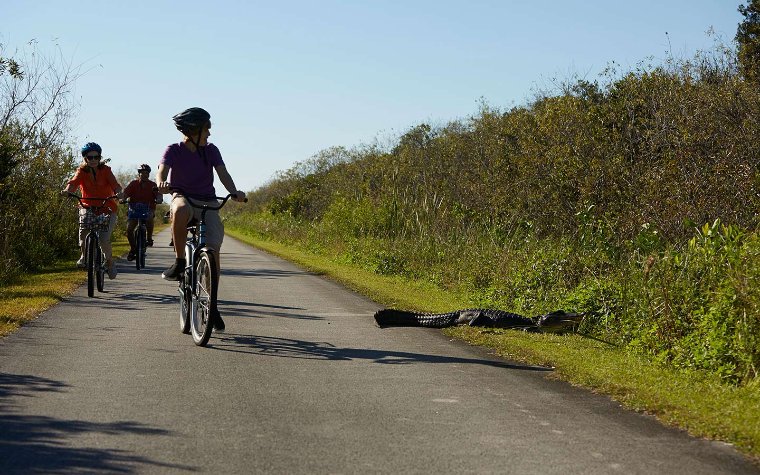 Familienradtour durch Shark Valley in Everglades National Park