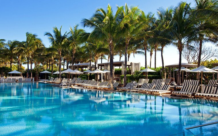 Palmen und Liegestühle vorbei W South Beach 's Pool